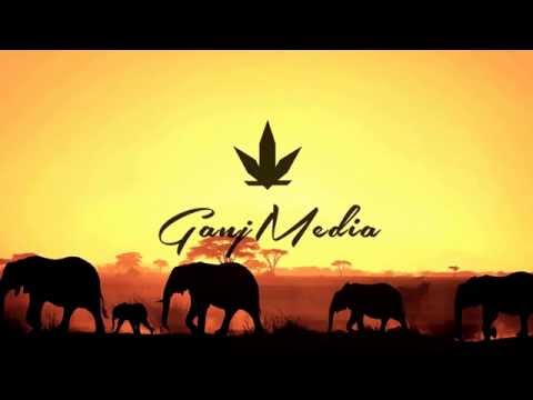 Mungo's Hi Fi - Put It On (ft. Shanti D)