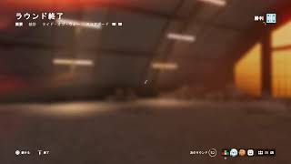 【PS5】久しぶりのBFV🐈