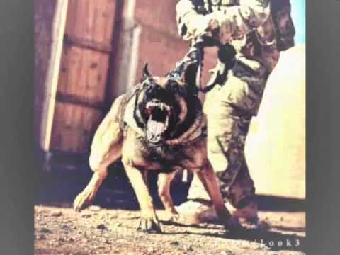 ZemZem - Kim Koceli Sen Ayt [Knock Out] 2012