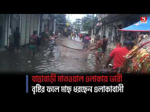 যাত্রাবাড়ী মাতওয়াল এলাকায় ভারী বৃষ্টির ফলে মাছ ধরছেন এলাকাবাসী