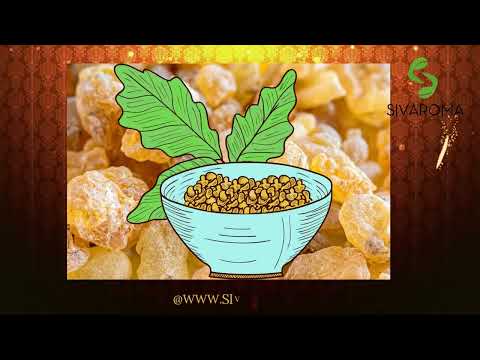 Boswellia Serrata Extract