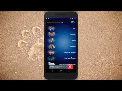 Top Dog Sounds Video