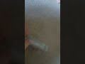 Stuart Little 1999 Vhs Australia