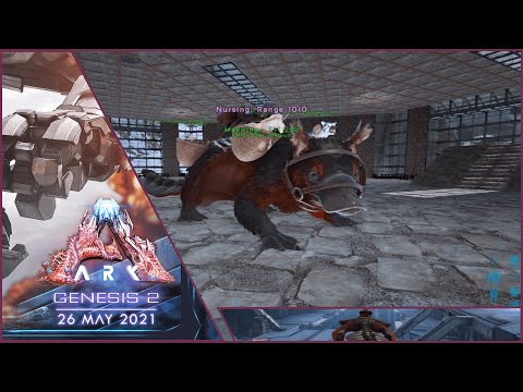 Ark Gênesis Parte II Tutorial:  Server oficial: Domando Maewing