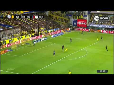 Julio Chiarini - Tigre