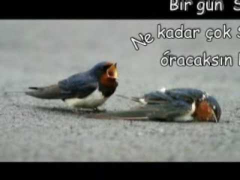 Ben o artık eski ben değilim.Sana Cesaret Vermesin..süperrr,