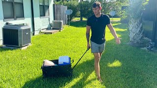 Most Affordable Yet Durable Wagon Cart On Amazon!