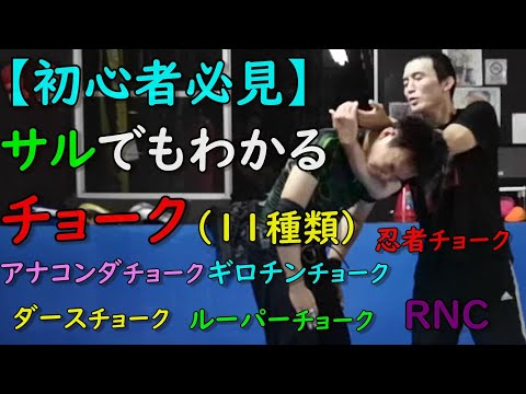 サルでもわかる11種類のチョーク（絞め技）の説明  初心者🔰白帯さんは見ないと後悔するかも(笑)  BJJ チョーク
