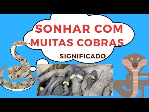 Sonhar Com Muitas Cobras