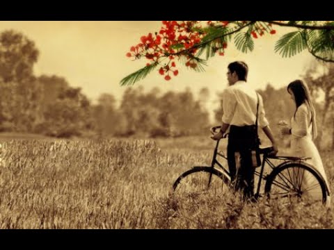 Mùa hoa chia ly Sheet - Uyên Dung