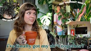 finally a (mostly) positive plant update 🌈 diy pest treatment, big leaves, & blooms!