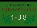 Runescape 07 Oldschool servers - 1-38 Herblore ...