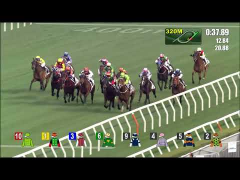 27/12/2021 (288) Carroll Street - B Shinn