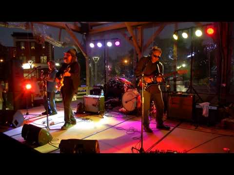 "Just Like Tom Thumb's Blues" Performed by Peter Case