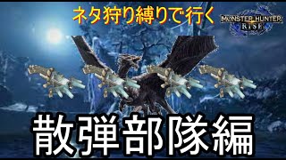 [MHRISE]散弾特化部隊が行く鋼龍