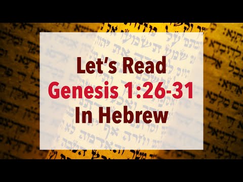 Let's Read   Genesis Chapter 1 - Verses 26 to 31
