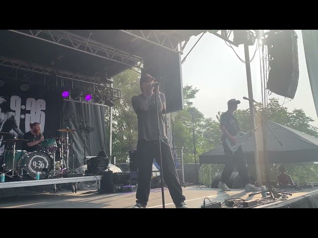Video preview