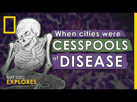 YouTube video about: Why were tenement apartments crowded?