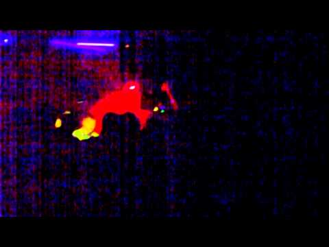 Club Euphoria Iosifalau 4