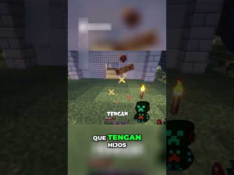 📜FILOSOFÍA DE LA AMANDA Y DICHOS!!🤣