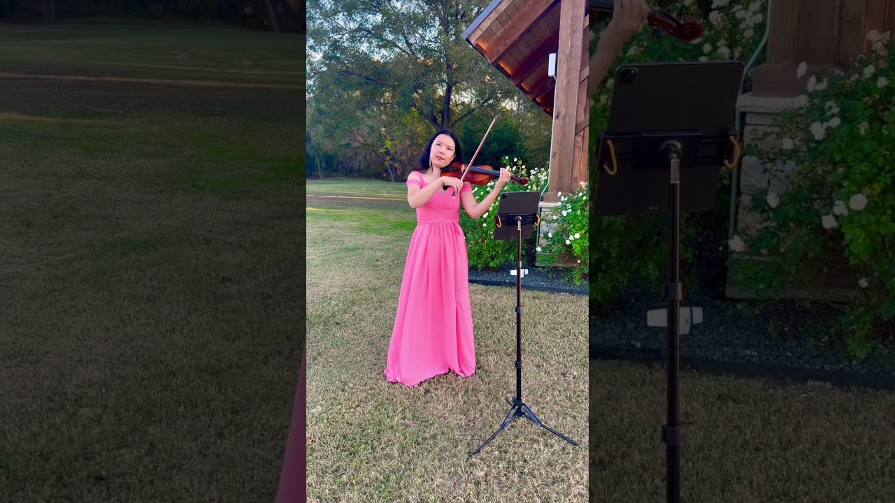 Promotional video thumbnail 10 for Alma Elegance Violin
