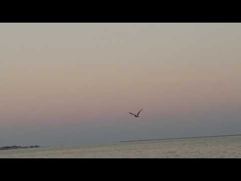 Enjoying beach @ new Haven ct