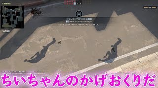【CS:GO】外人に迷惑をかけまくるCS:GO実況＃17