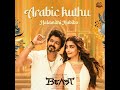 Halamithi Habibo Audio Song BEAST Thalapathy Vijay Anirudh Jonita Gandhi