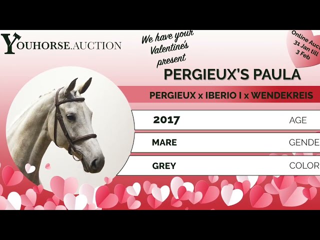 Perigueux's Paula showvideo