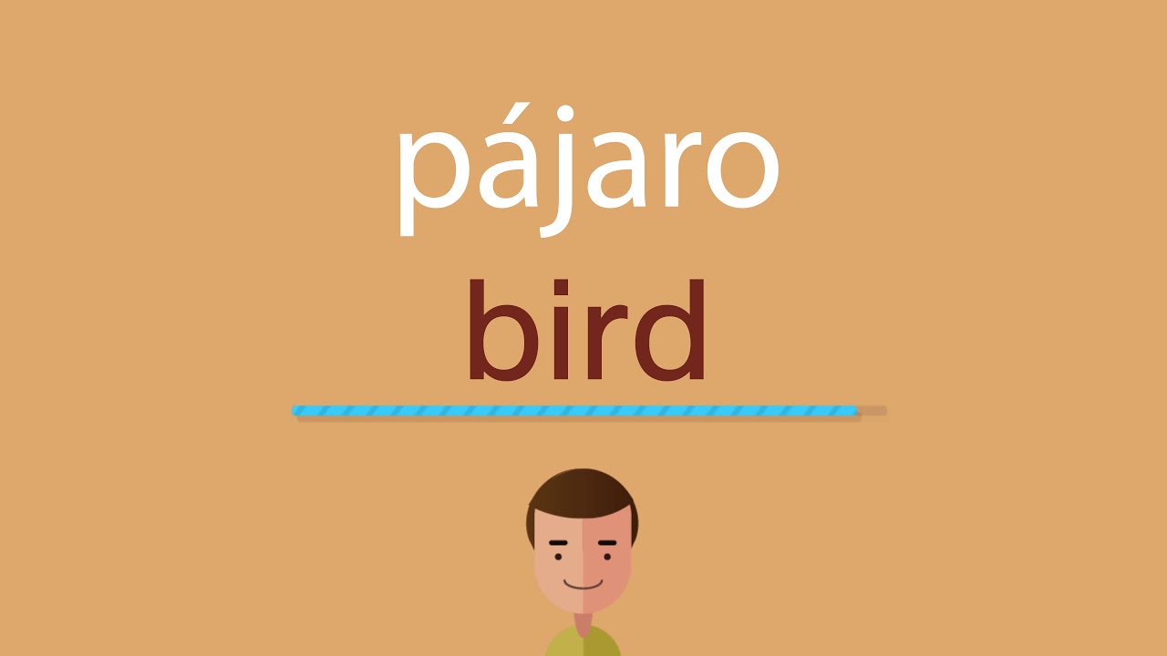 Cómo se dice pájaro en inglés