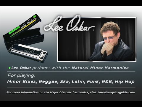 Lee Oskar 1910N Natural Minor Harmonica Key of Am image 2