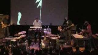 Tortoise &quot;Six Pack&quot;