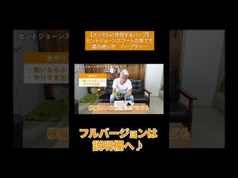 育てやすい香りのよい観葉植物やハーブからインスピレーションを得ましょう。  庭園