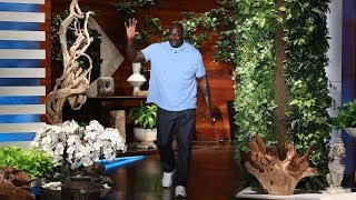 Shaq's Babysitting Gig Led to His Google Riches video