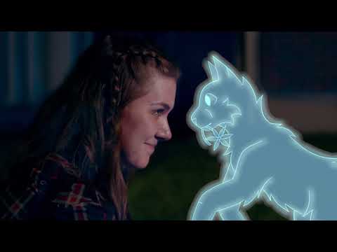 ROADKILL - SHORT FILM
