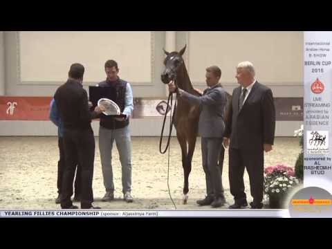 Second place Berlin Cup Werder 2015 - Yearling Colts Championship (Class 16) - N.25 BAARE ATHBAH