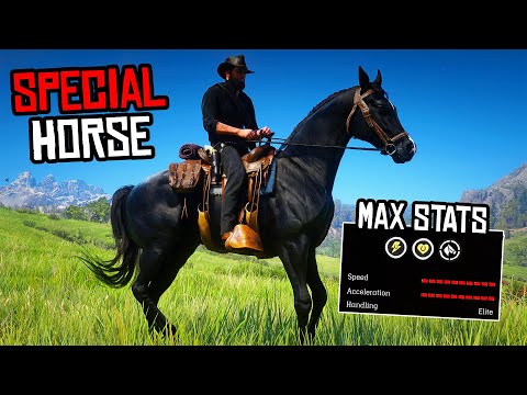 How To Get Special BLACK ARABIAN still WORKS (Braithwaite Arabian) - RDR 2