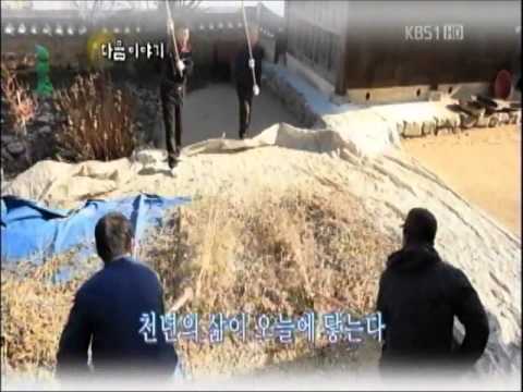 한국재발견 정동하