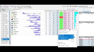 Betfair Trading +203% Profit