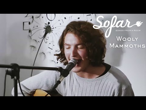 Wooly Mammoths - The Gardens | Sofar Brussels