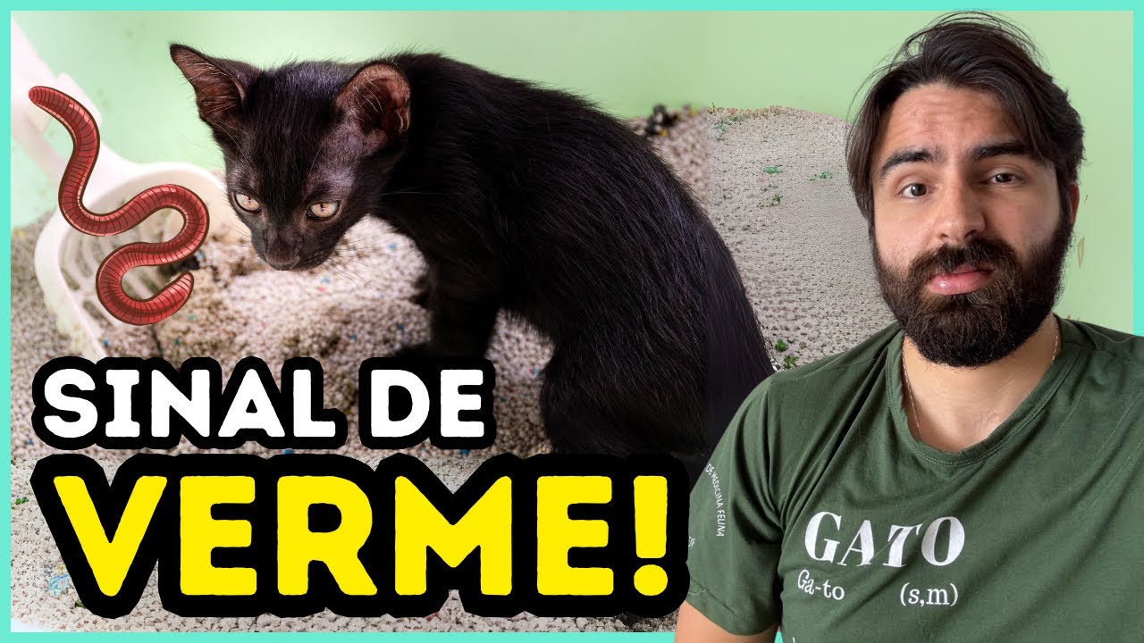 Se Seu Gato Fizer ISSO, Ele Está Com VERMES!