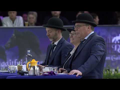 HK 2026 – Event 8 – Studbook Stallions approved from breeding season 2025 – English