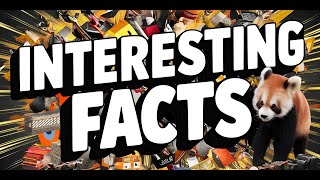 Interesting Facts You Need to Know!