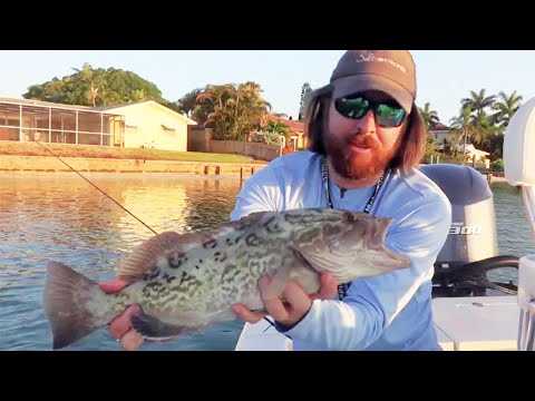 Rattles vs. No Rattles Fishing Lure Experiment [Round 2]