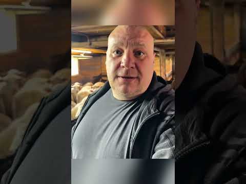 Работяга Обратился К Зажравшимся Чинушам, Высказавшись За Всех Граждан