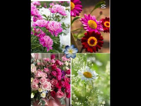 pretty little baby ❤️ 🎀