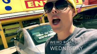 Weird Roadside Wednesday: "The Thing"