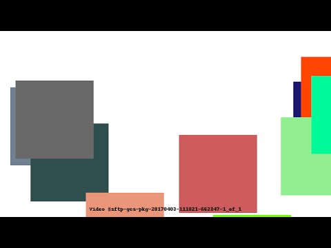 Video #sftp-gcs-pkg-20170403-111021-662347-1_of_1