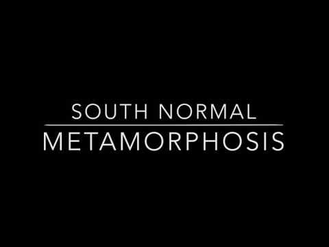 South Normal - Metamorphosis
