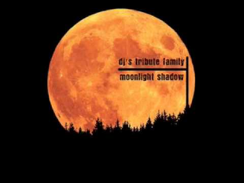 DJ's Tribute Family - Moonlight Shadow (Rudeejay Remix)